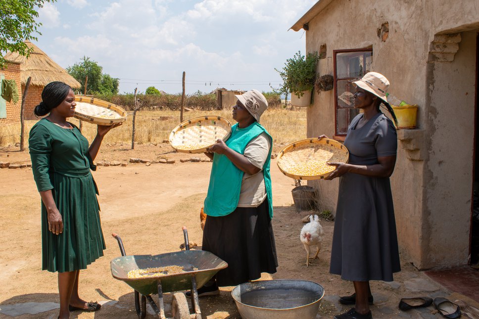 Lilian Murangariri (left) started a food business called Sunshine Group that sells biofortified maize products.